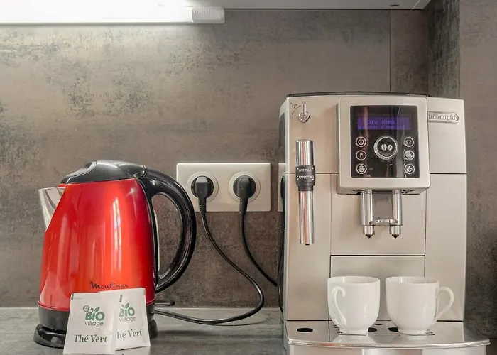 Apartamento Charmand Et Cosy Avec Emplacement Idéal Lyon